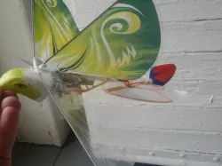 Remote Control Ornithopter