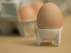 rocket egg cup