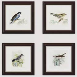 Set of pictures Birds 01 3D model