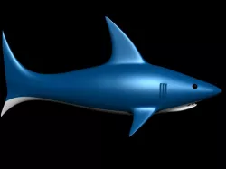 Shark