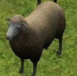 sheep model 3D model