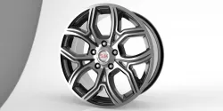 Sport Line [Alloy Wheel]