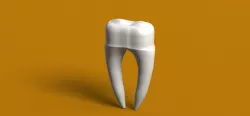 Teeth