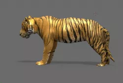 tiger 3D model