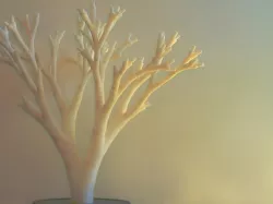 Tree kit