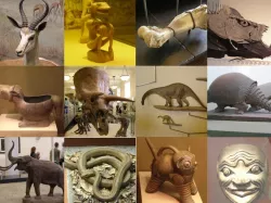 Unprocessed American Museum of Natural History Scans