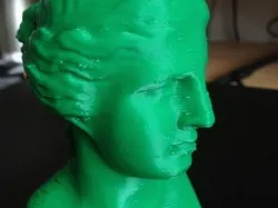 Venus bust