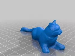 Yellow Cat