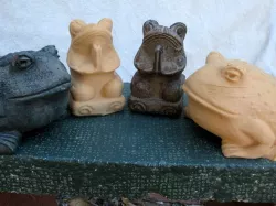 Yoga Frog and Garden Toad