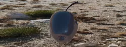 APPLE_1