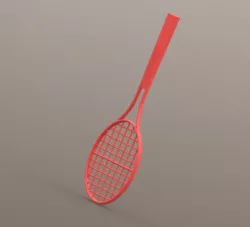 Badminton or Tennis Racket
