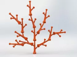 Branch