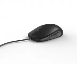 computer mouse