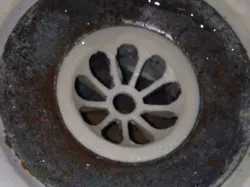 Drain Cover