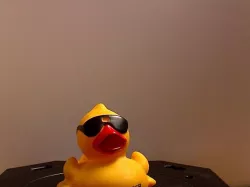 Ducky 02