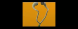 EAR_PHONE