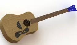 Guitar