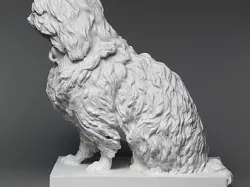 Musette, a Maltese dog