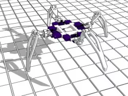 quadruped