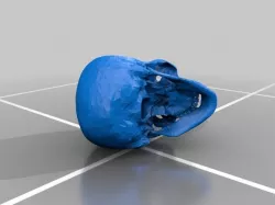 RCS Skull