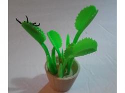 Venus FlyTrap