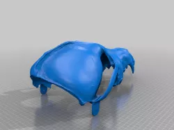 Copy of wolf skull head base