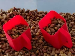 cuchara de comida para gatos