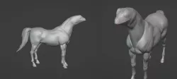 Hrog the Horse Frog