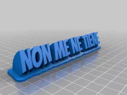 NON ME NE TIENE