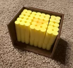 Survivor Coins Puzzle