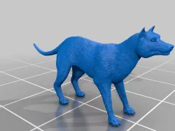 Thylacine