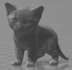 baby kitten model