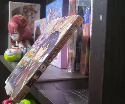 Manga Display Shelf (Daiso style)