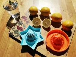 Lemon Squeezer circular/star-shaped