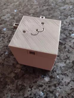 Bunny Puzzle Box