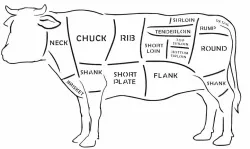 Cow Diagram stencil