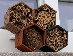 insect hotel