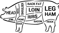 Pig Diagram stencil