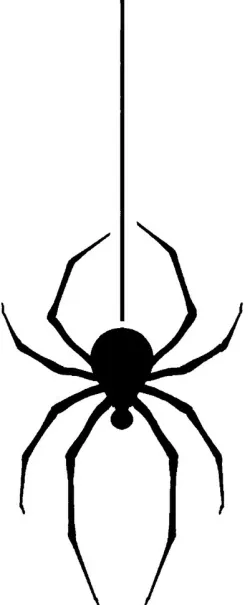 Spider stencil 6