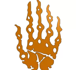 Tears of the Kingdom Abilities Icons