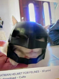 BATCAT (batman cat helmet)