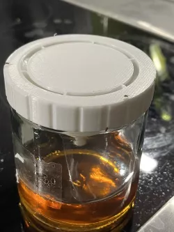 Fruit Fly Trap Honey Jar Lid
