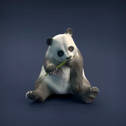 Giant Panda