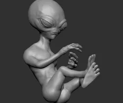 Grey Alien Fetal 