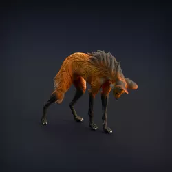 Maned Wolf