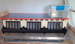 Quail Breeding Cage