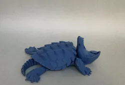Alligator snapping turtle