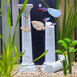 ANTIQUE COLUMNS FOR AQUARIUM