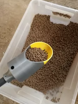 Baiting Spoon