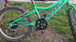 Bicycle chain guard